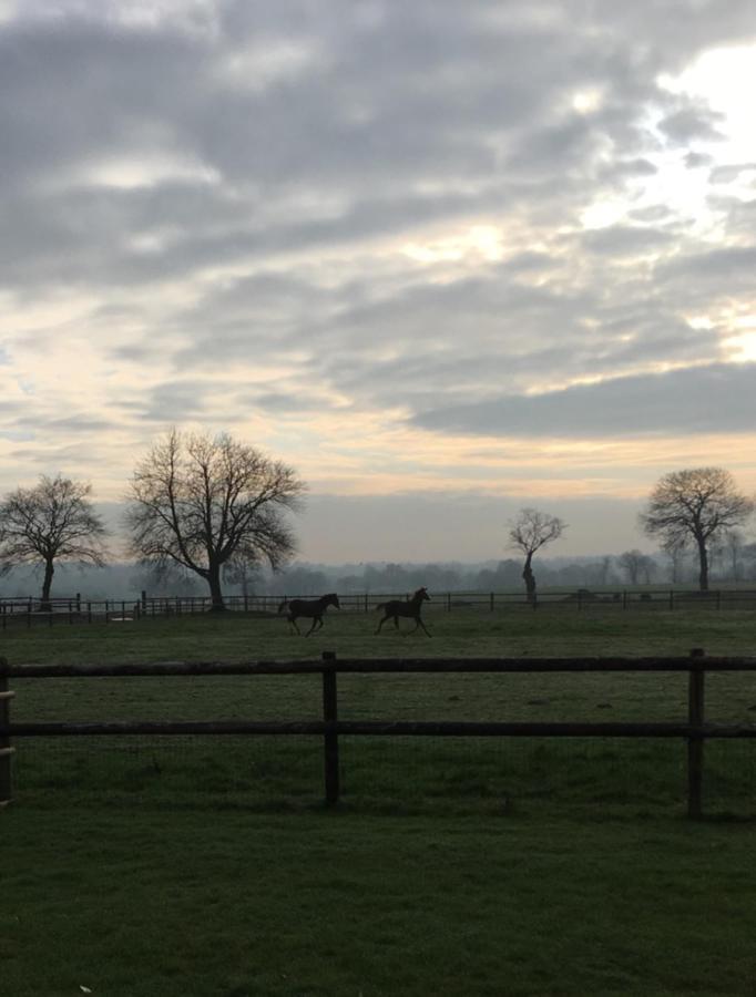 La Bretonniere Bed & Breakfast Dragey ภายนอก รูปภาพ